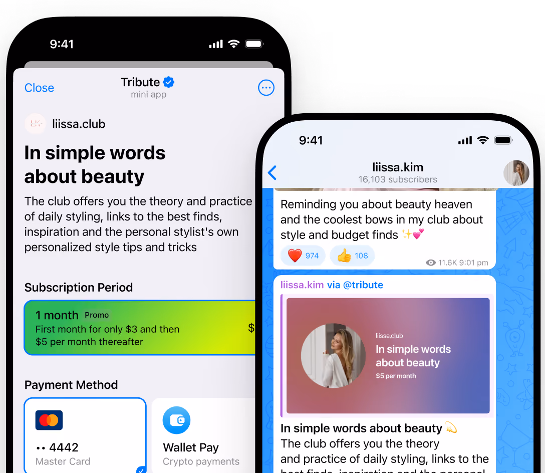 Mobile screens showing a beauty club subscription with styling tips and payment options.