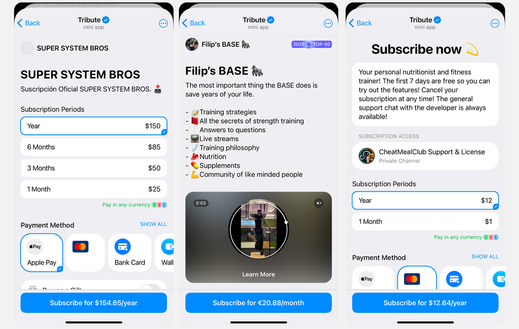 Example of paid Telegram channels