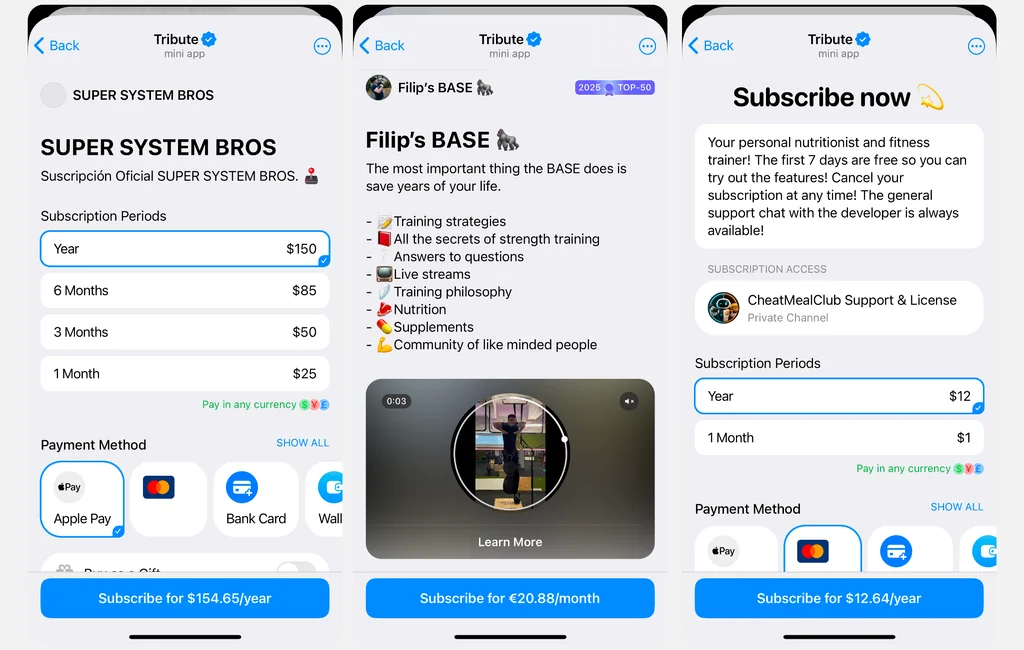 Example of paid Telegram channels