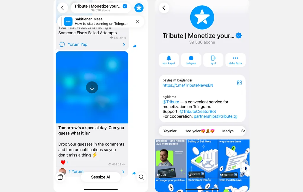 Herkese açık bir Telegram kanalı ve katılım linkinin nasıl göründüğüne dair örnek